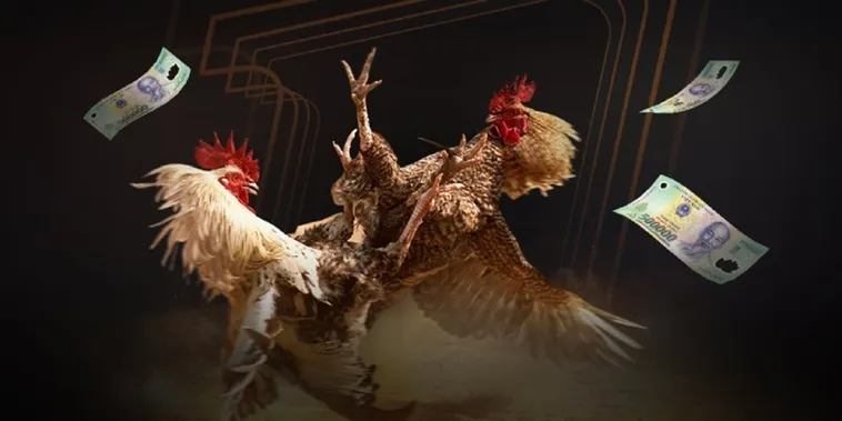 Đá Gà V9Bet Đấu Trường Kịch Tính Thưởng Cực Lớn